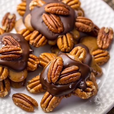 Turtle Nut Coffee: dark chocolate, creamy caramel and roasted pecans. Image shows these ingredients shaped in the form of a turtle. 